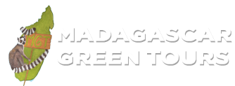 logo Madagascar Green tours